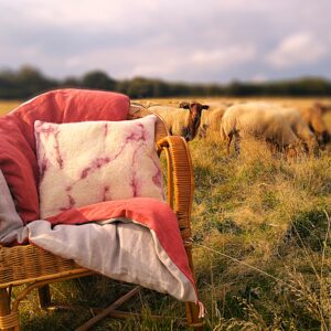 Coussin Bruyère